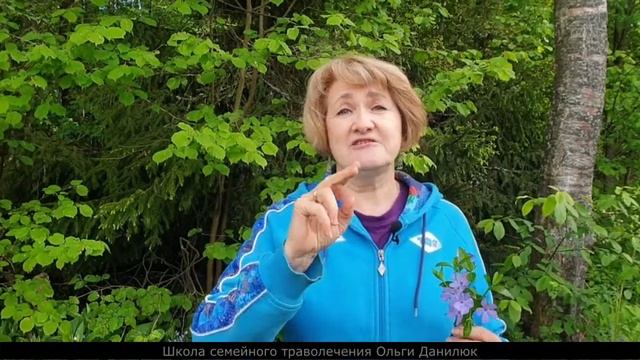 Барвинок малый