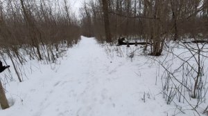 САМСУНГ А51 возможности камеры