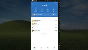 Установка кошелька Trust WaIIet и добавление в кошелёк токенов SWP,SWST,USDT(в сети BSC,BEP20)