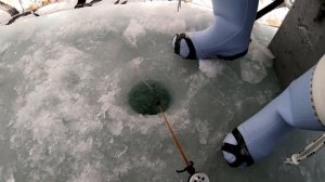 ПАЛАТКА ДЛЯ ЗИМНЕЙ РЫБАЛКИ!!! Ловля плотвы в ЗИМНЕЙ ПАЛАТКЕ видео 2019