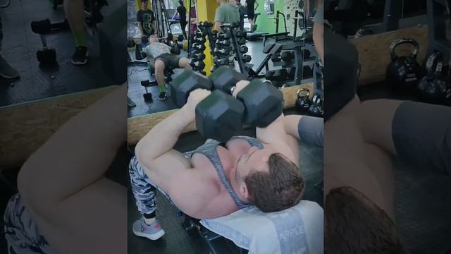 Жим гантелей смотреть онлайн