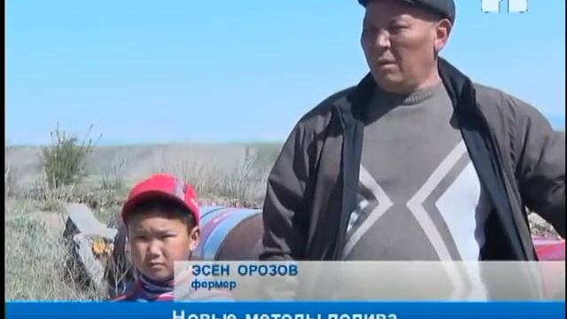 Новые методы полива таласцев смотреть онлайн