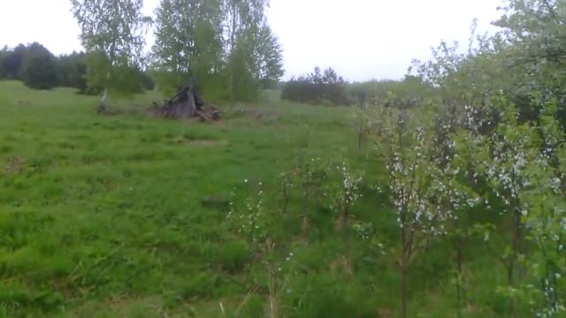 Поиск клада с garrett ace 350 euro в Ивановских лесах - Часовенька смотреть онлайн