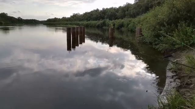 Выходной день на реке Хопёр, рыбалка на сазана ожидание и реальность смотреть онлайн
