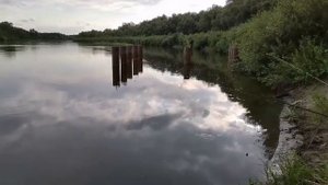 Выходной день на реке Хопёр, рыбалка на сазана ожидание и реальность