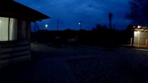 Отпустил двух сук питбуля вместе + Колобка и Спайка ! Питбуль Багира не хочет дружить....