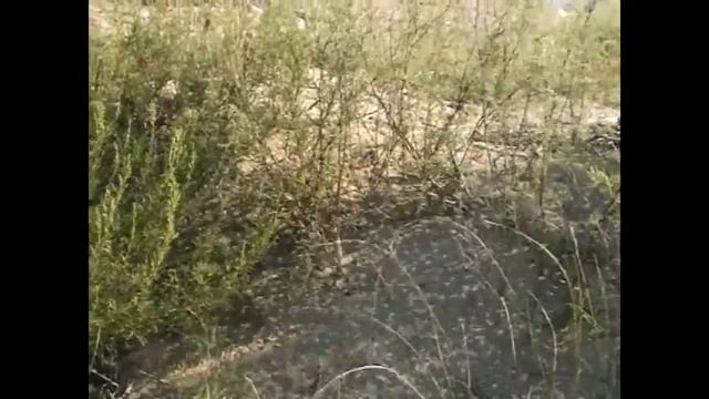 Озеро Абрау-Дюрсо. смотреть онлайн