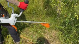 Stihl Fs 460-C mowing big grass with brand new brush knife.( Motocoasa cu cutit de desis la lucru)