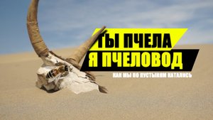 "Ты пчела, я пчеловод" основная музыкальная тема одного нашего путешествия