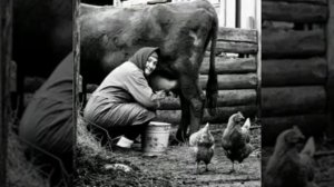 Мы из деревни родом.