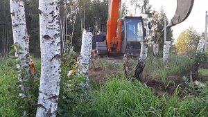 Корчевание пней.