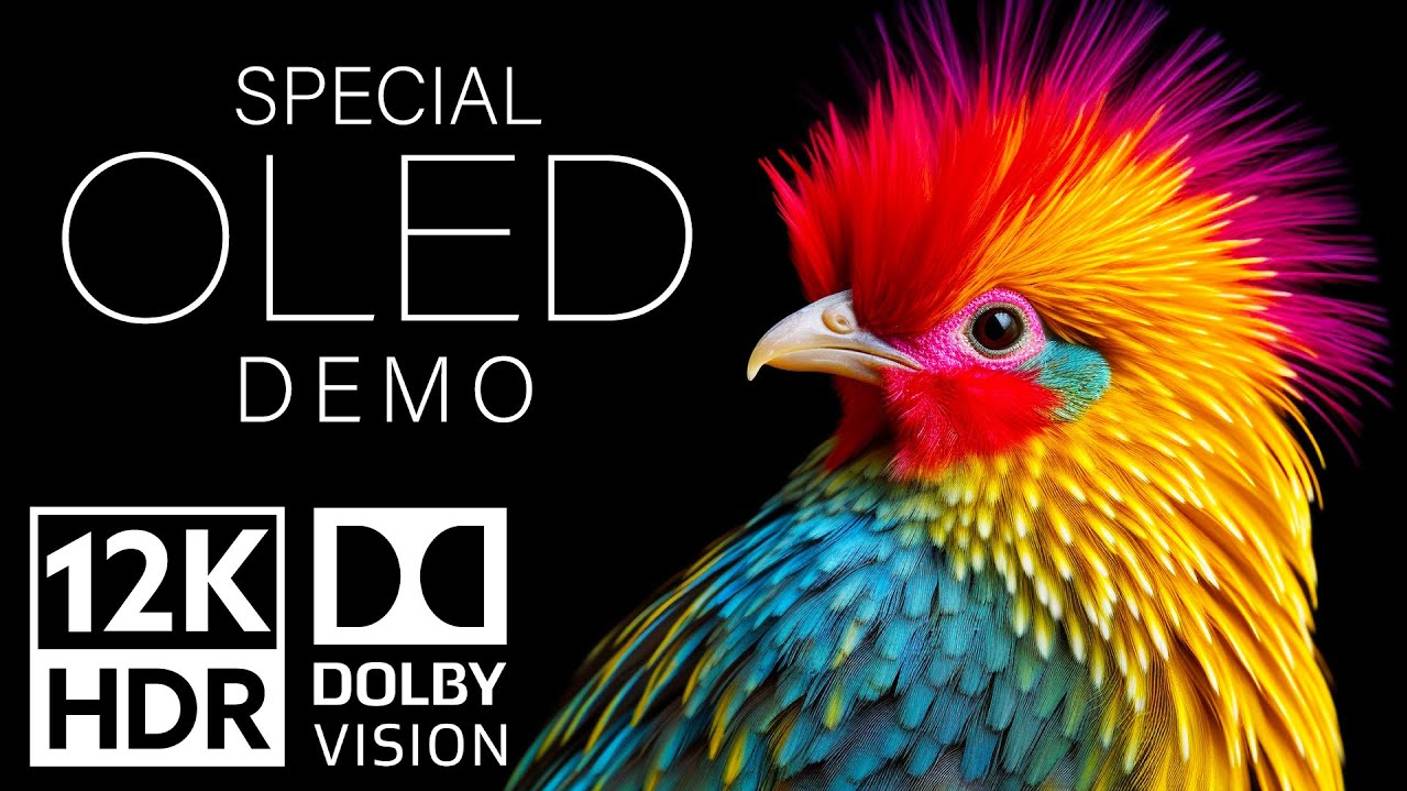 Специальная демонстрация OLED12K HDR Video ULTRA HD 120fps Dolby Vision смотреть онлайн