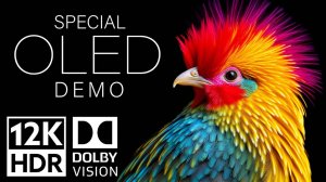 Специальная демонстрация OLED12K HDR Video ULTRA HD 120fps Dolby Vision