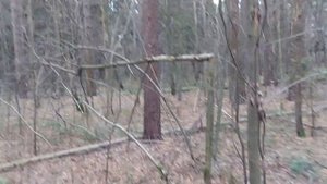 ОТПРАВИТЬ К ЛЕШЕМУ. ОТ ВРАГОВ. ОЧЕНЬ СИЛЬНО. ДЛЯ ВСЕХ. ВЕДЬМИНА ИЗБА. ИНГА ХОСРОЕВА. mp4