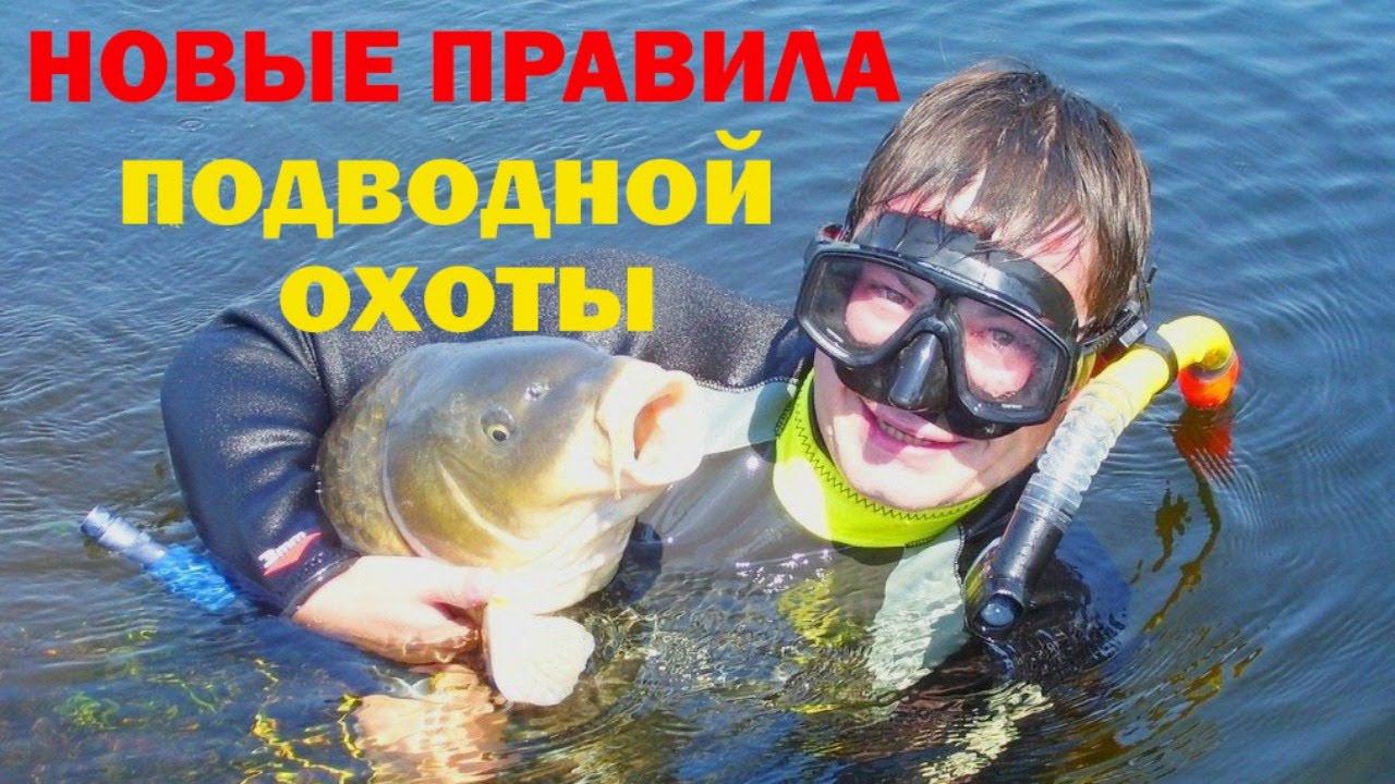 Анонс новых правил осуществления подводной охоты в России!