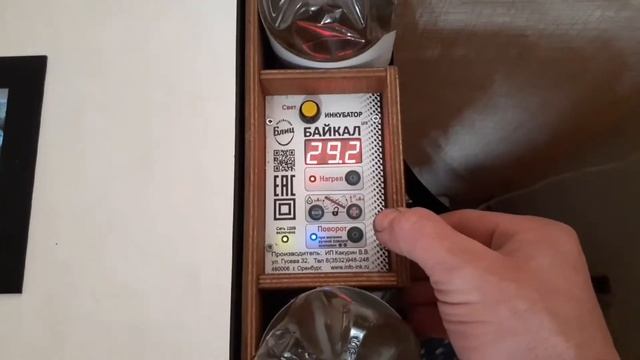 Инкубатор Блиц Байкал/закладка перепелиных яиц