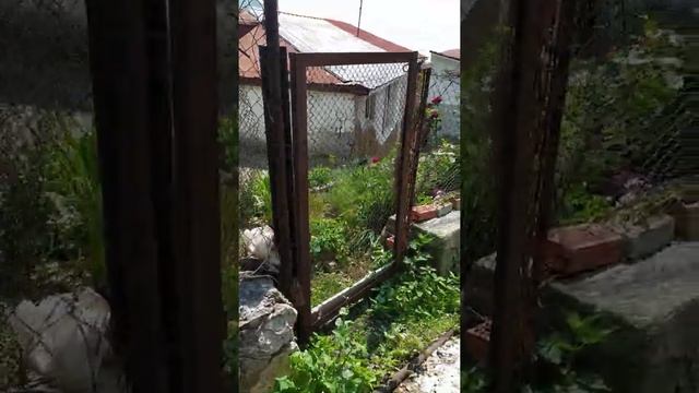 бюджетный отдых в Крыму. поселок Краснокаменка.дешевое жилье!!! смотреть онлайн