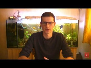 Холодная вода у Дискусов. Оптимальная температура содержания.