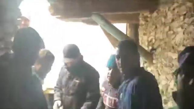 СИЛЬДИ(1) смотреть онлайн