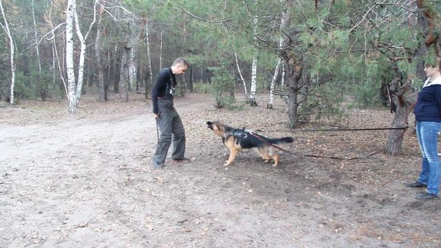 Барса vs Антон Музалёв. Тренировка ЗКС - разминка. смотреть онлайн