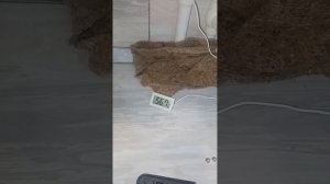 проблемы с котлом по горячей воде. ищем причину.