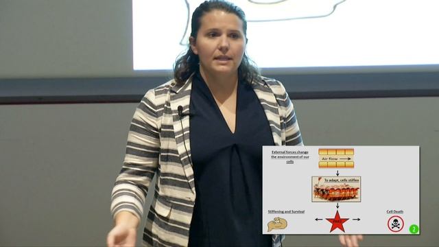 2018 Three Minute Thesis Peoples' Choice: Hannah Campbell смотреть онлайн