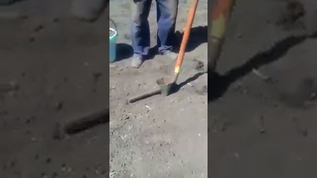 Устройство для облегчения посадки картофеля