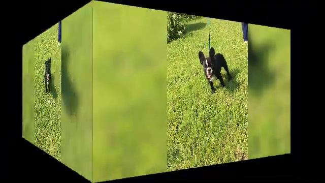 Луне Андреа 3 мес смотреть онлайн