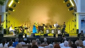 Старый рояль - Анна Шакель и Компания