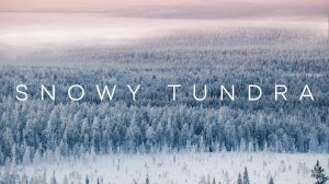Snowy tundra