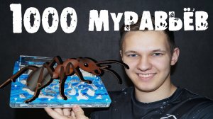 Выращиваем 1.000 муравьёв дома!!! Битва с гусеницей!