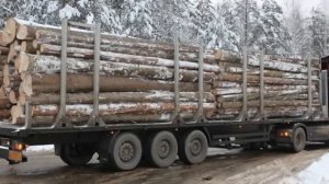 Рекордный рост цен и экономический кризис, Финляндию пошла просить помощи у России - Ответ ошарашил