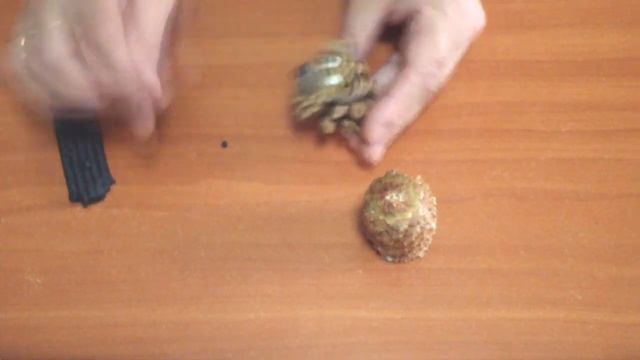Медведь из шишек своими руками / Вear of pine cones diy