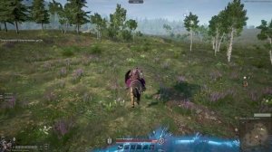 Коротко о Conqueror's Blade. Выбор скакуна.