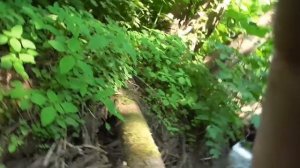 Медный ручей. Что то придётся оставить (Перезалив)