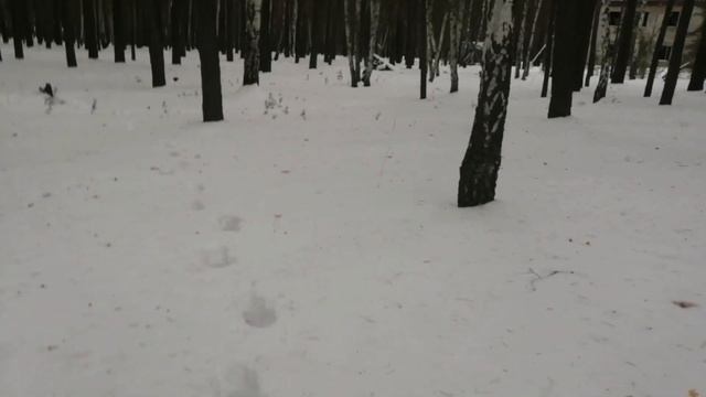 Часть2|Орлёнок|заброшенный лагерь смотреть онлайн