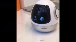 Робот Емеля в семье блогера @kravchulia (Instagram)