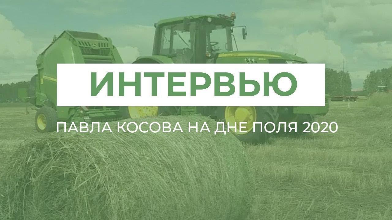 Поля 2020. День поля. Алексей Троицкий Росагролизинг. Рисунок на тему Росагролизинг. Росагролизинг конкурс детского рисунка.