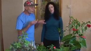 3 минуты о загородной жизни  с Сергеем Богатским. ПАУТИННЫЙ КЛЕЩ