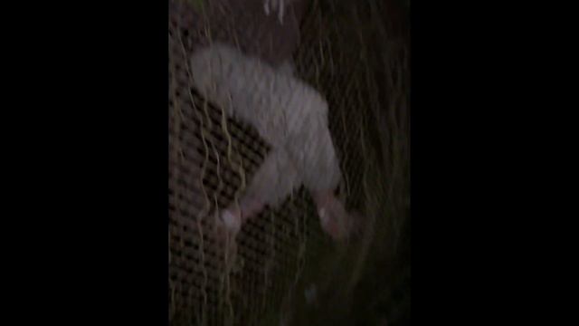 КАК ЖИВУТ В ПСИХ БОЛЬНИЦАХ|ЗА НОЧЬ 3 РАБОЧИЕ ПСИХУШКИ|vlog смотреть онлайн