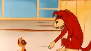 Котенок по имени Гав