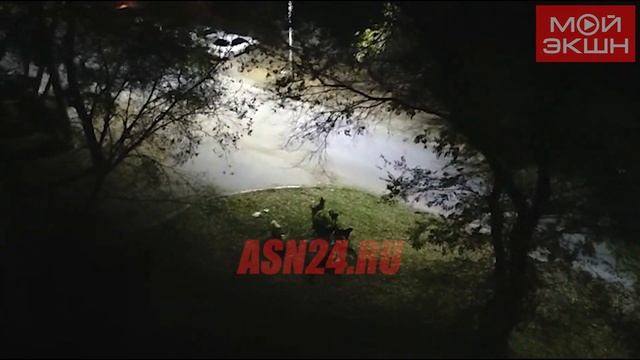 Крупная стая собак в районе таможни пугает и будит по ночам благовещенцев смотреть онлайн