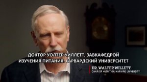 Фильм Переломный момент The Game Changers 2018
