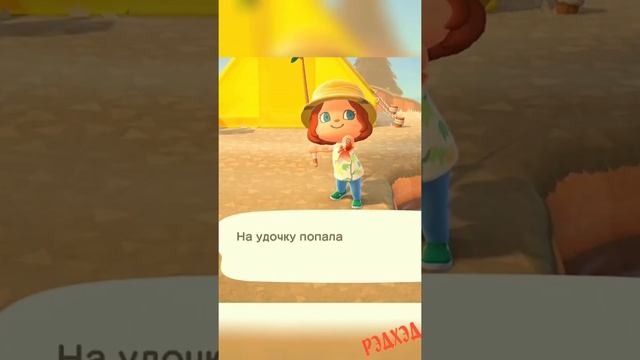 Волшебный улов в игре Animal Crossing: New Horizonsmal. Прохождение игры. Озвучка РэдХэд.#Shorts