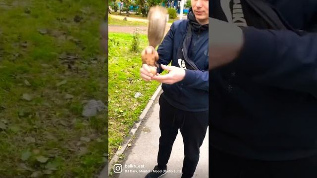 playing with the squirrel. Дразню белку орехом, а она ловко пытается отобрать.