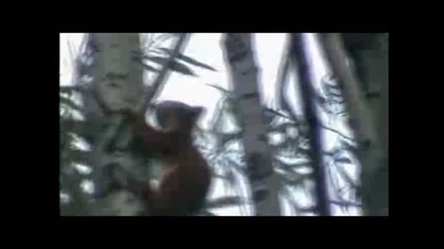 Видеоархив: 2008 2009 гг. Моя вахта на севере г. Нижневартовск смотреть онлайн