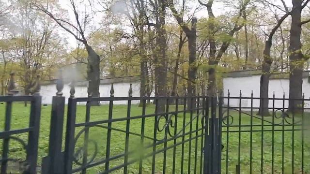 Москва, Коломенское. Дуб Петра Великого. смотреть онлайн