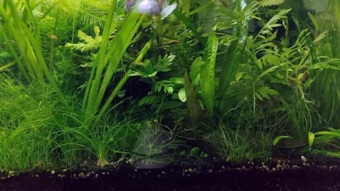 Стоит ли делать докторат?