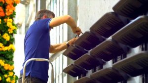 Фитостена | Вертикальное озеленение | Живая стена