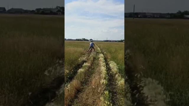 Без сомнений любима и счастлива! | Евка